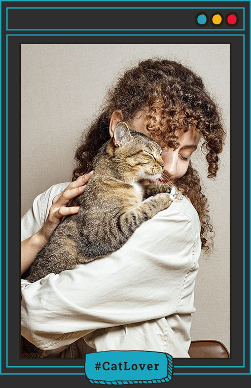  amor por los gatos